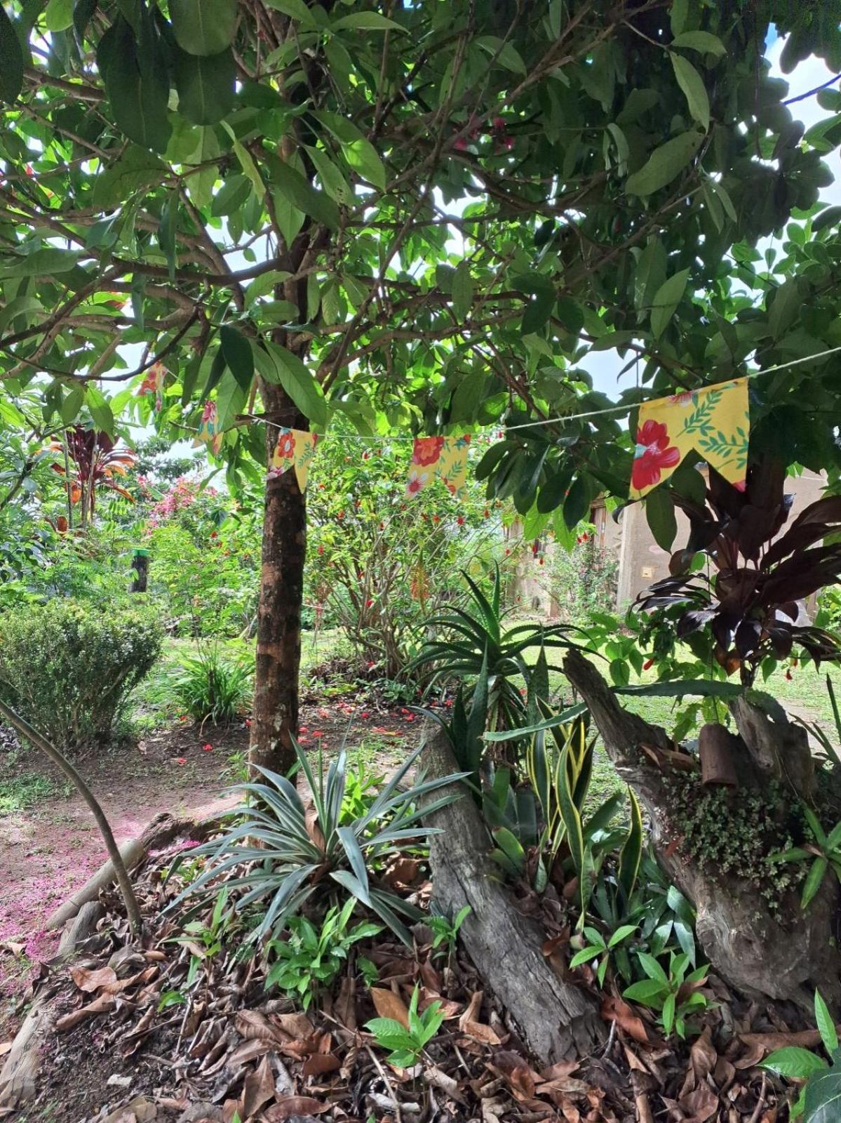 Hotel Sitio Monte Alegre Ibicoara Pokój zdjęcie